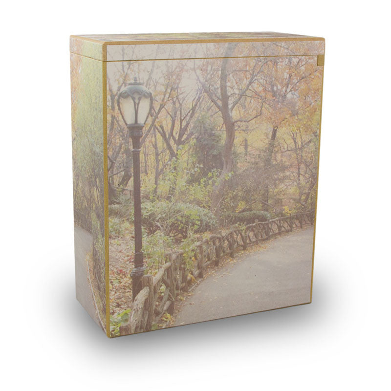 Scattering Urns