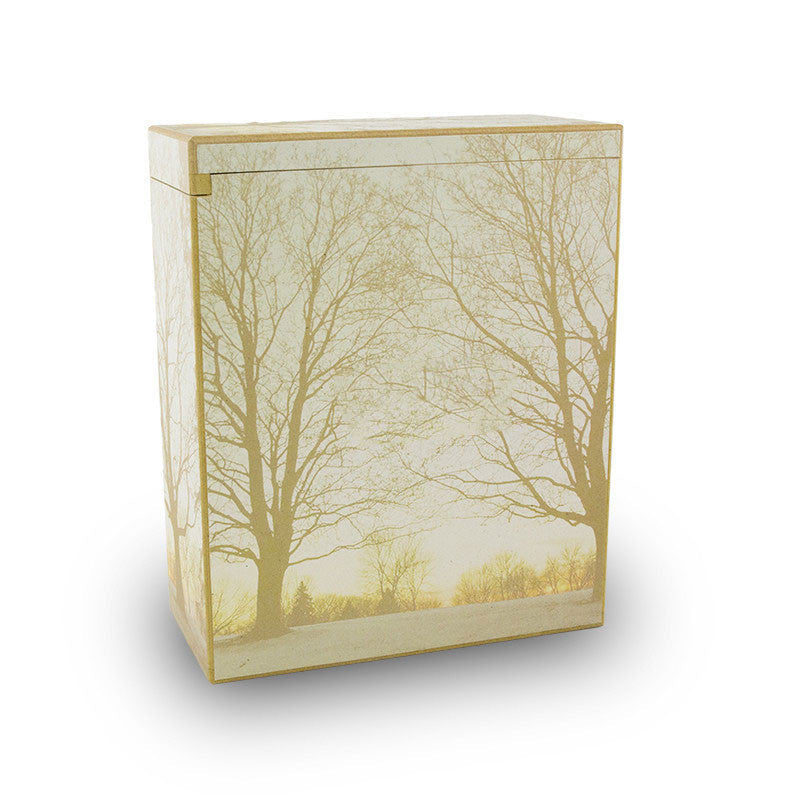 Scattering Urns