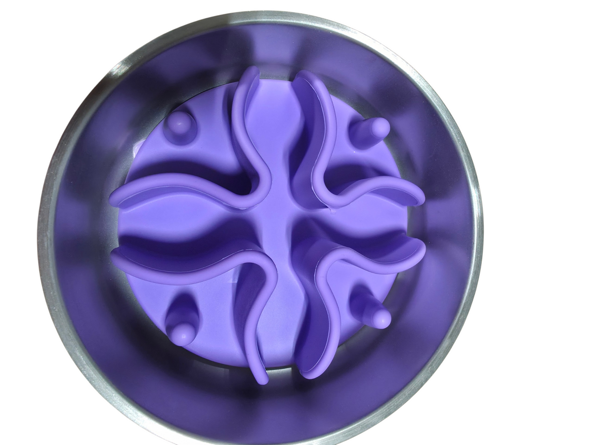 32oz Durable Stainless Steel Pet Feeding Bowl